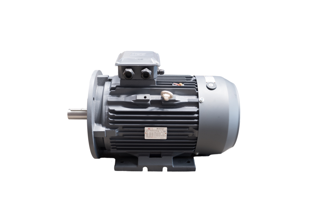 Three-phase Motors